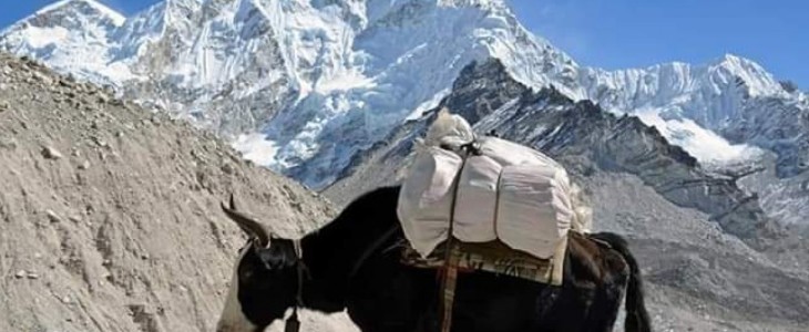 Everest Base Camp Trek 14 Days