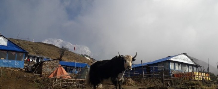 Mardi Himal Base Camp Trek 9 Days