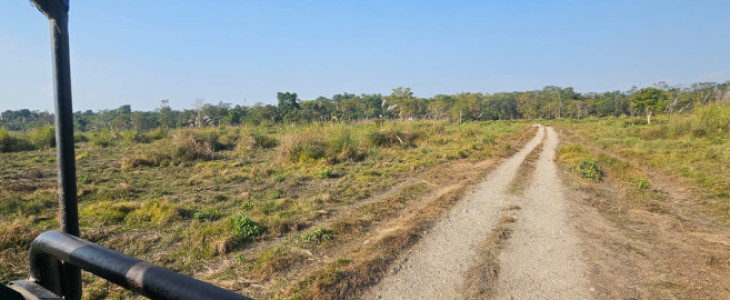 Chitwan Jungle Safari 2 Nights 3 Days