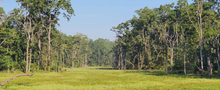 Chitwan Jungle Safari 2 Nights 3 Days